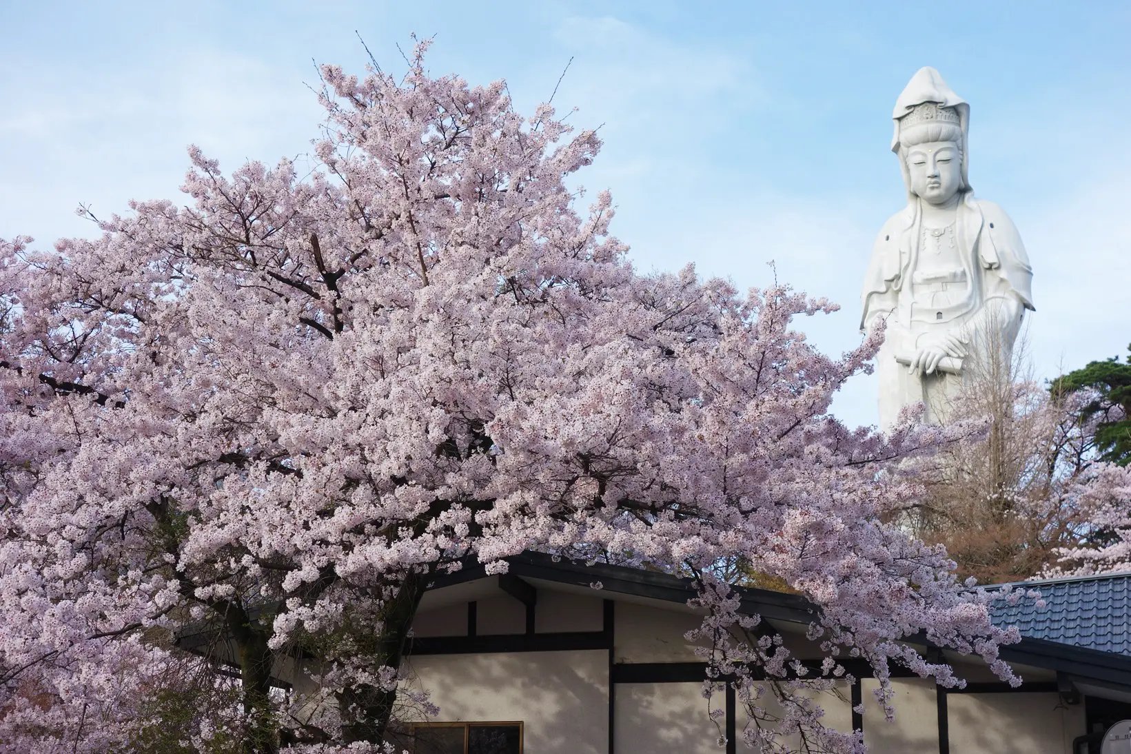 🏯 관음산 지겐인 (간논잔 지겐인) 이미지 6